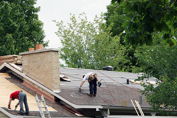 Best Roof Moss and Algae Removal  in Millers Creek, NC